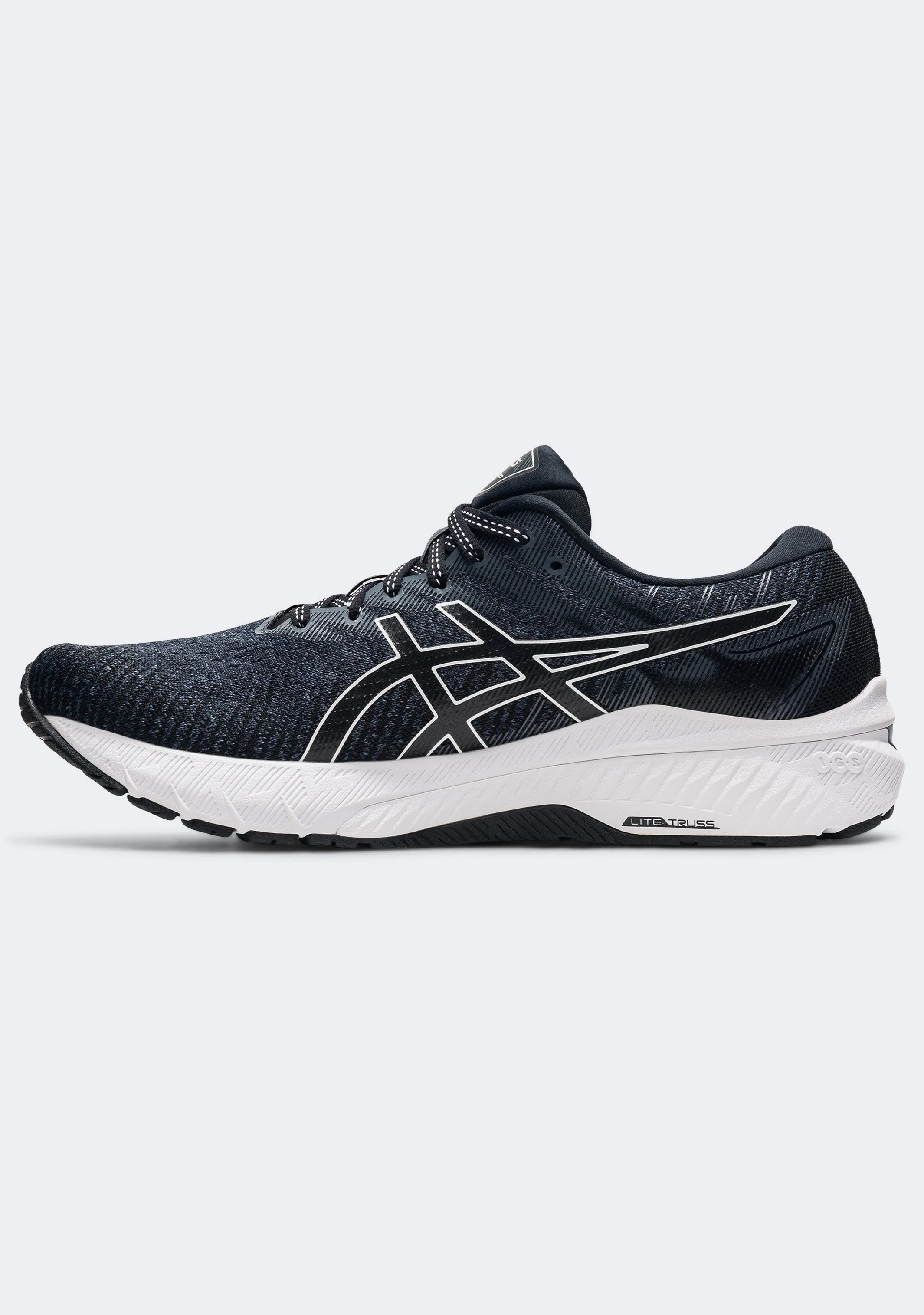 Asics Men's GT 2000 10