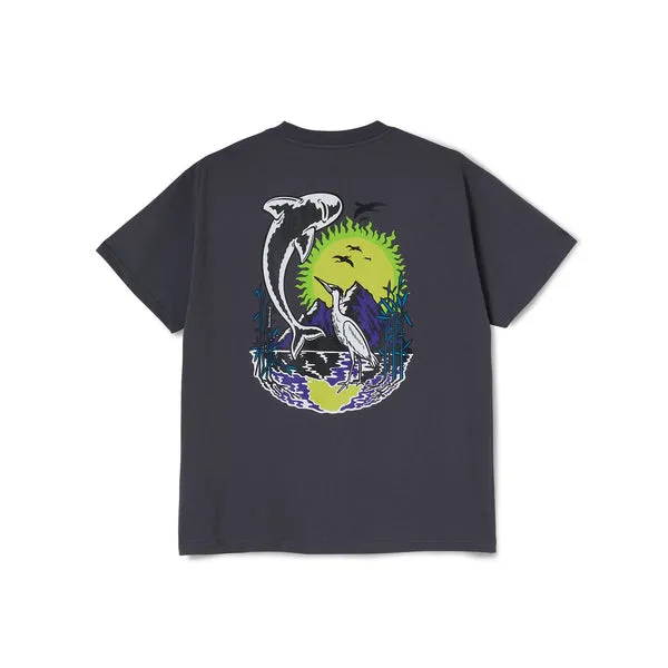 Polar Skate Co Mt Fuji T-Shirt - Graphite